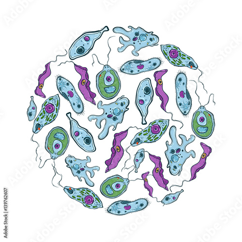 Decorative circle with different microorganisms. Vector illustration