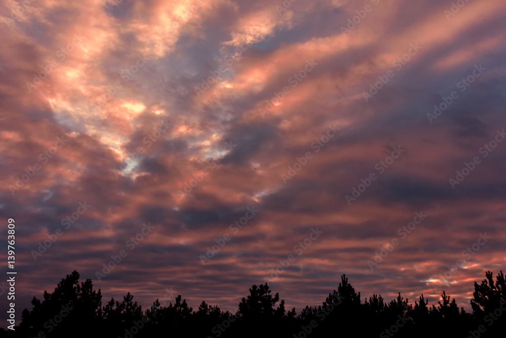 colorful sunset with pocked clouds , in the woods. Sky background.