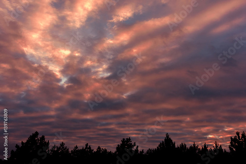 colorful sunset with pocked clouds , in the woods. Sky background.