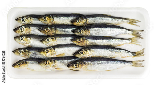 Fresh ocean sprat