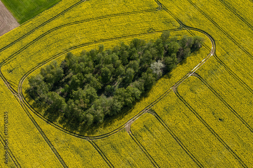 aerial view of harvest fields