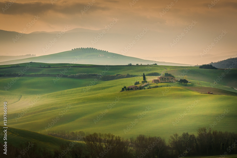 Tuscany Val D'Orcia Rolling Hills at Dawn