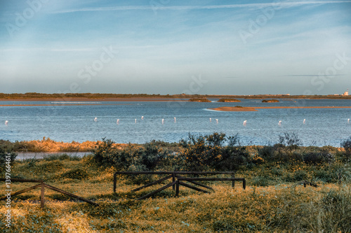 Parque Natural Bahia de Cadiz  desde la localidad de San Fernando.