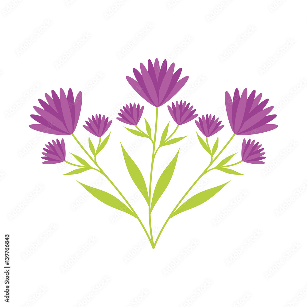 Obraz premium cute flower carden isolated icon vector illustration design