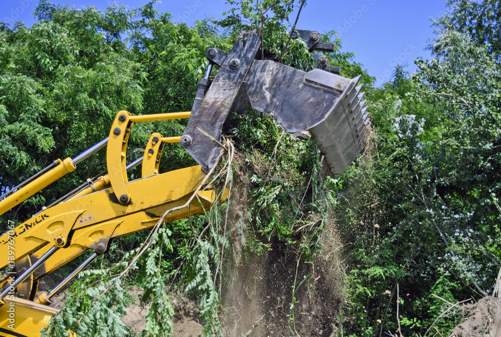 Loading with excavator Loading with excavator
