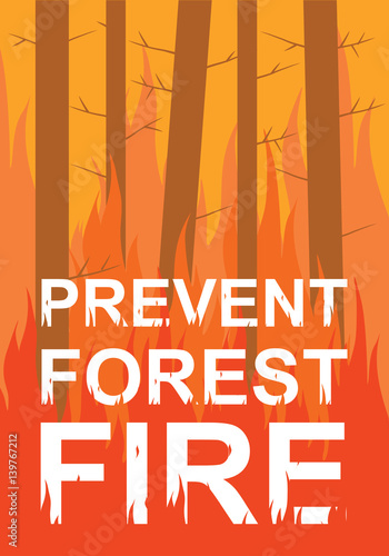 Prevent forest fire poster