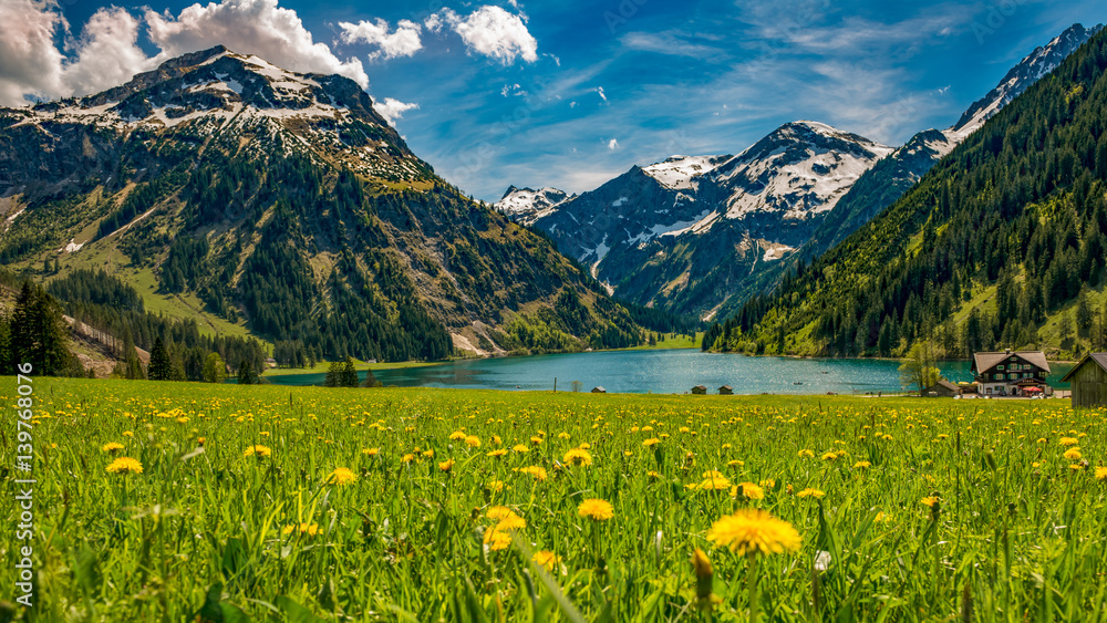 Vilsalpsee im Frühling mit Blumenwiese und Berge im Hintergrund Tannheimer Tal Österreich