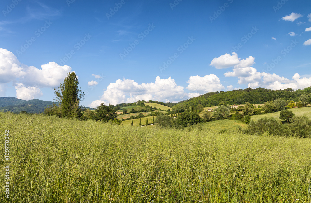 Obraz premium Beautiful landscape and hills in Tuscany, Italy