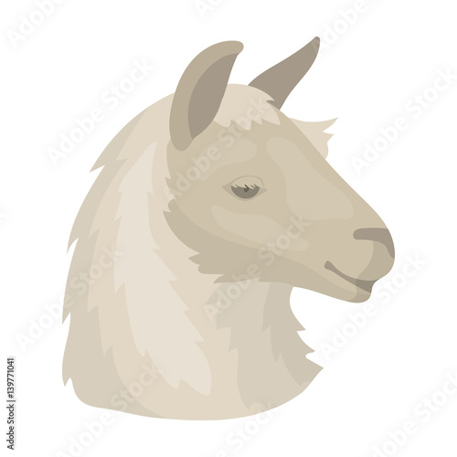 Lama icon in cartoon style isolated on white background. Realistic animals symbol stock vector illustration.