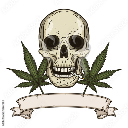Rastaman skull with cannabis leafs. Vector illustration.