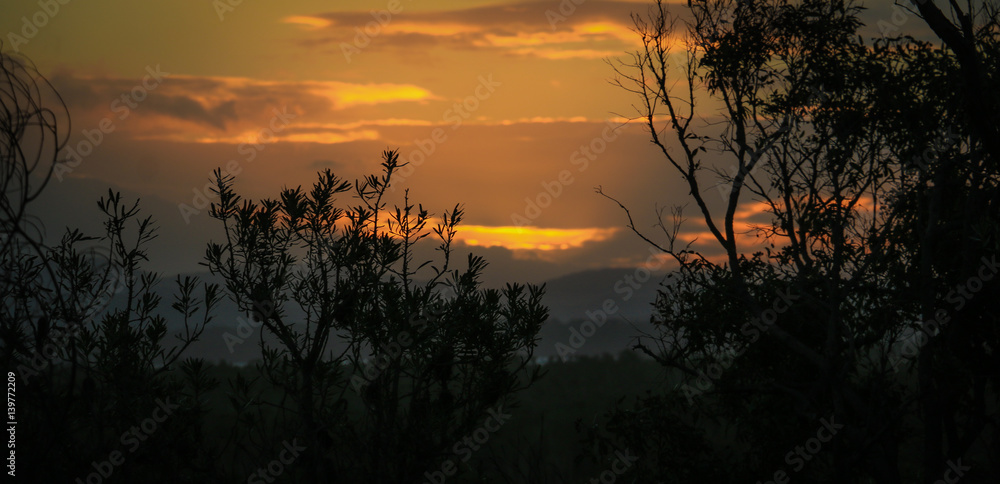 Obraz premium Dying Sun