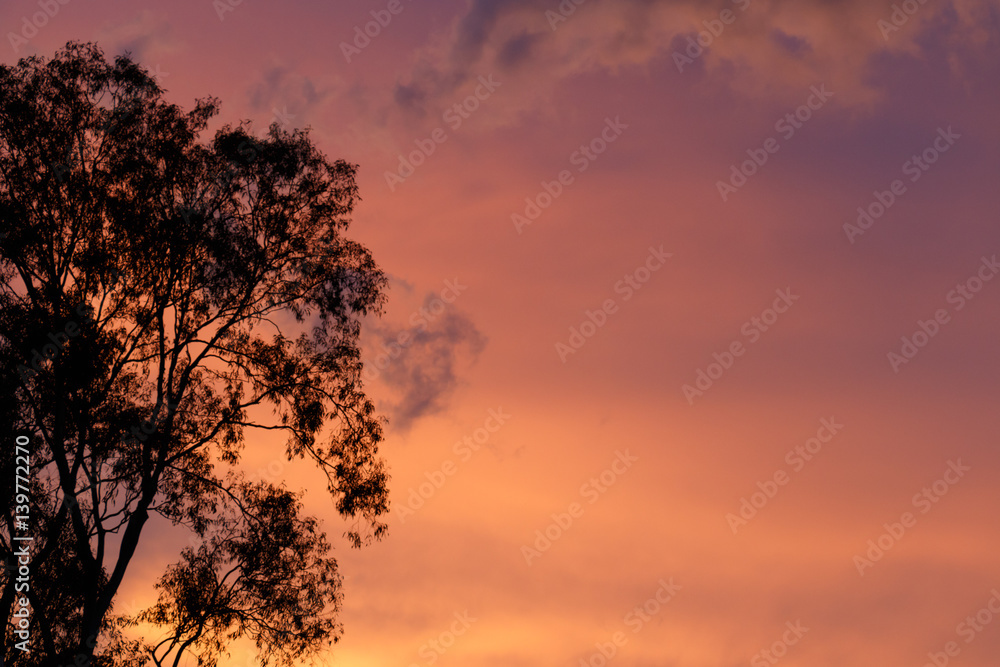 Moody Sunset Moody Sunset