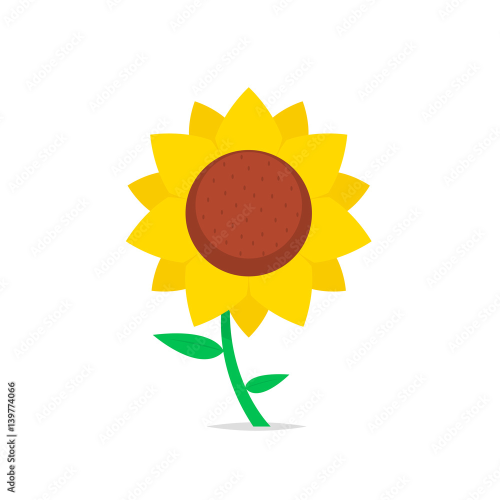 Fototapeta premium Sunflower isolated vector