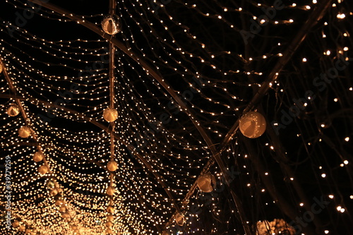 lighting festival
