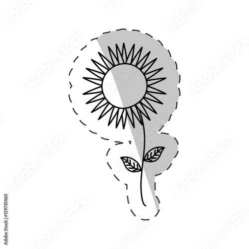 sunflower spring cut line vector illustraiton eps 10