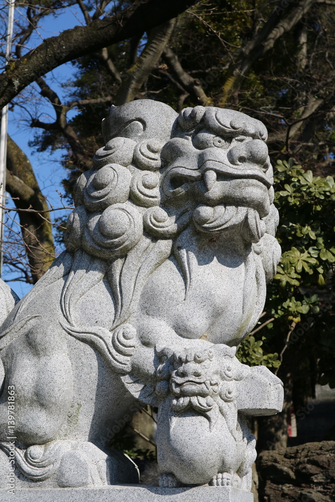 Fototapeta premium 狛犬 氏神さんの狛犬です。凛々しい顔をしています。