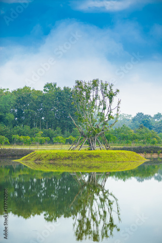 Big tree on still water pond with Water reflection
