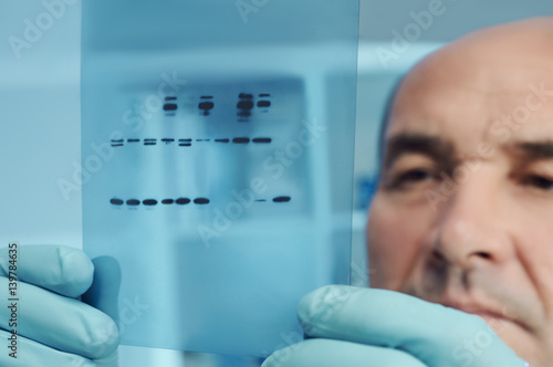 Senior scientist checks results of protein experiment