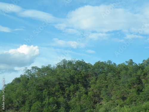 Tropical landscape over jungle and blue sky. © Xiaoneng