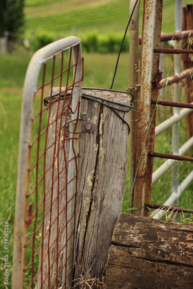 rusty gate rusty gate