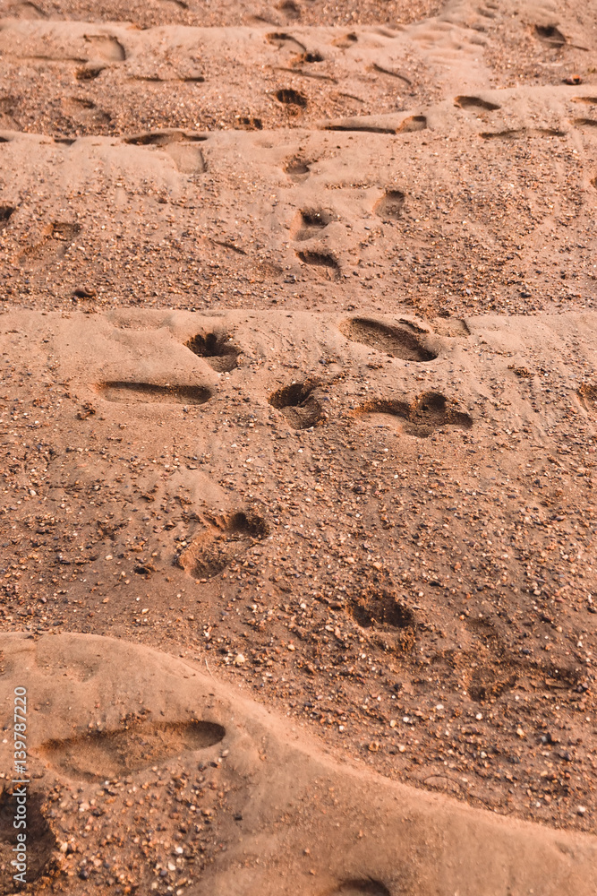 Sand texture. Sandy beach for background. Sand texture. Sandy beach for background.