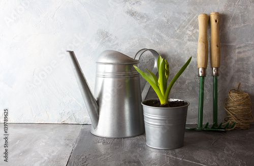 garden tools watering can flower pot