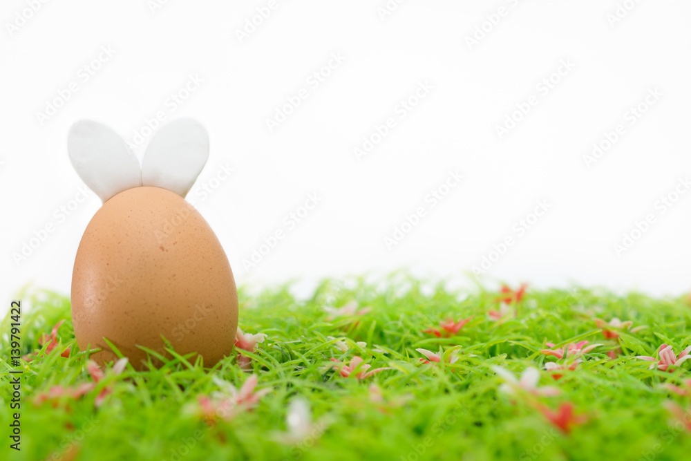 Easter eggs is a happy festival, Choose focus point with copy space to write. Easter eggs is a happy festival, Choose focus point with copy space to write.