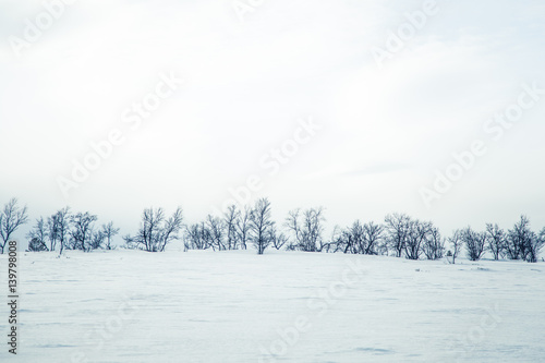 A beautiful landscape of a frozen plains in a snowy Norwegian winter day © dachux21