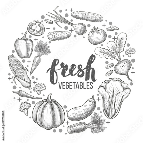 Monochrome sketch style set of vegetables icons. Eco organic fresh template with vegetables for the decoration of menu. Vector.