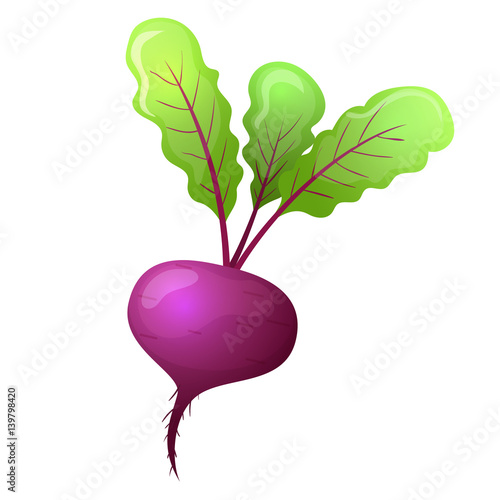 Colorful cartoon style beet