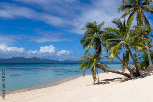 Fototapeta Naklejka Na Ścianę i Meble -  Perfect White Sand Paradise Beach with Grove of Palm Trees - Linapacan, Palawan - Philippines