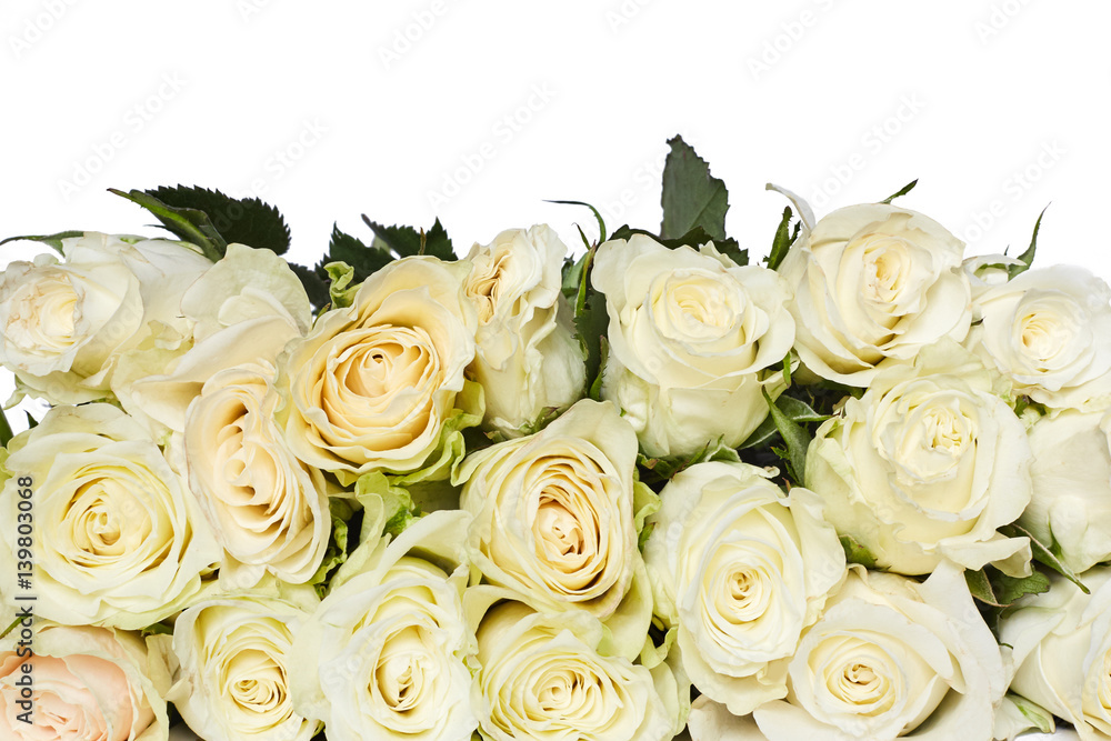 Fototapeta premium Roses background. mothers Day. Valentine's Day