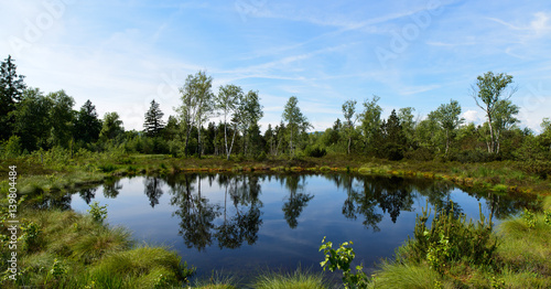 moor, wenger moor, salzburg, austria photo