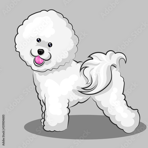Photo white bichon frise dog at one color background