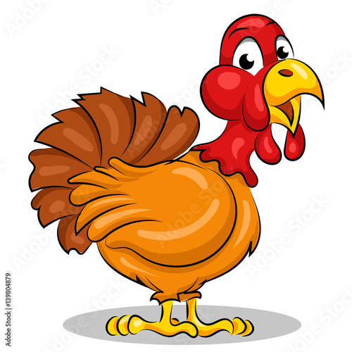 turkey bird