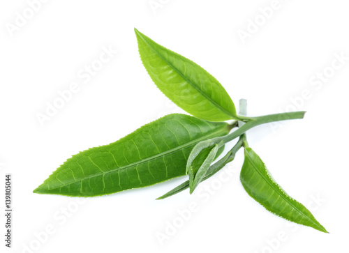 Green tea leaf isolated on white background