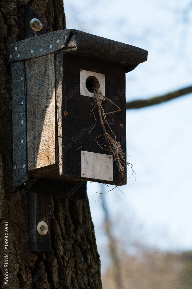 Nistkasten an einem Baum Nistkasten an einem Baum