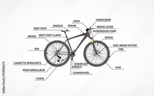 Infographics of Mountain Bike.