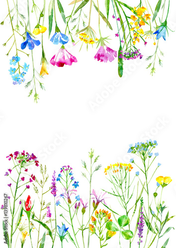 Floral frame of a wild flowers and herbs on a white background.Buttercup, cornflower,clover,bluebell,forget-me-not,vetch,timothy grass,lobelia,snowdrop flowers.Watercolor hand drawn illustration.