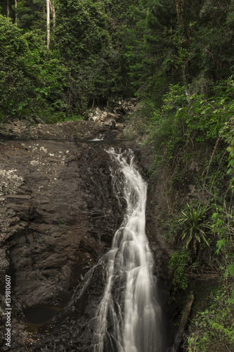 Natural Bridge Waterfall at Springbrook in Queensland. 