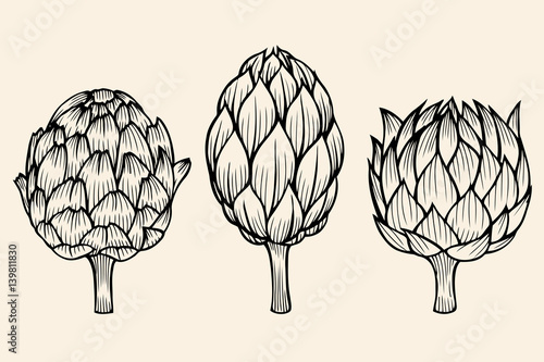 vegetables artichoke on beige background