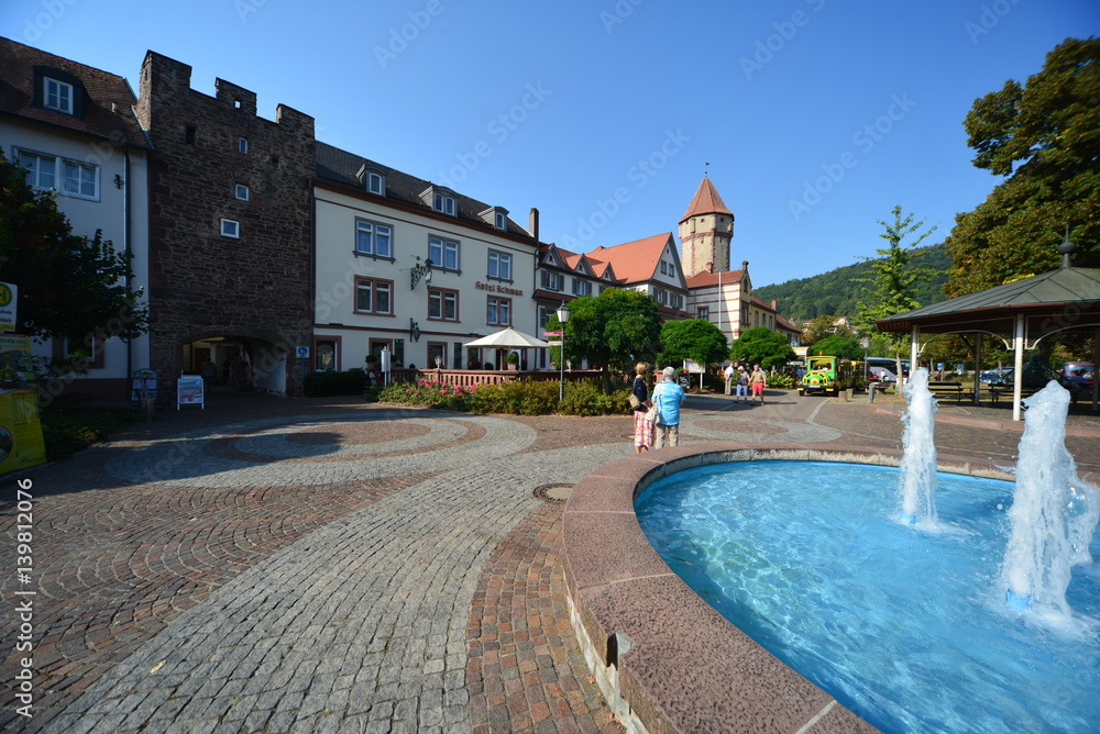 Fototapeta premium Wertheim, #6918