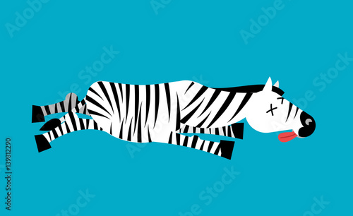 Dead Zebra. African animal deceased. Corpse of wild beast