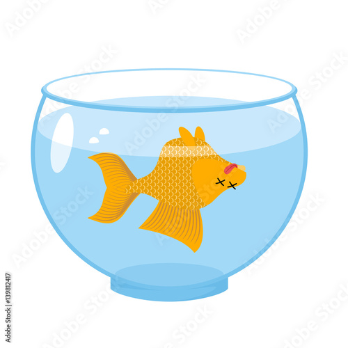 Dead gold fish in aquarium. Sea animal deceased. Corpse of goldfish
