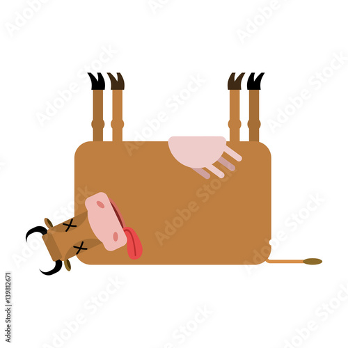 Dead cow. Farm animal dead. Corpse cattle