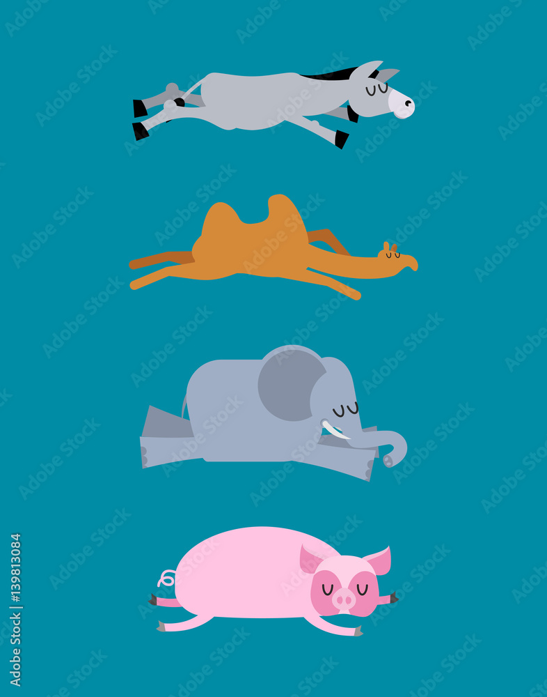 Sleeping animals set 4. Donkey and elephant. Camel and pig. Wild animal