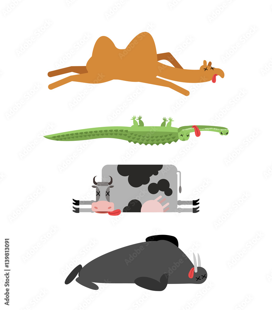 Dead animals set 4. Camel and crocodile. Cow and walrus. animal is