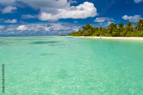 Maldives paradise beach. Perfect tropical island. Beautiful palm trees and tropical beach. Moody blue sky and blue lagoon. Luxury travel summer holiday background concept.