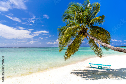 Maldives paradise beach. Perfect tropical island. Beautiful palm trees and tropical beach. Moody blue sky and blue lagoon. Luxury travel summer holiday background concept.