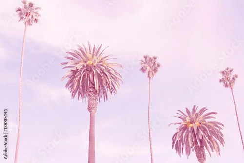 Obraz retro kalifornijskie dłonie